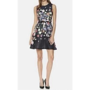 Ted Baker Izobela Kensington Floral Dress Fit and Flare Black Belted Sz 10-12
